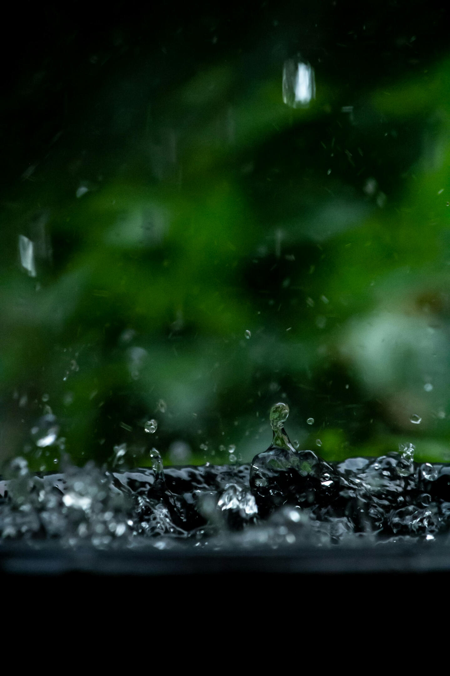 raindrops