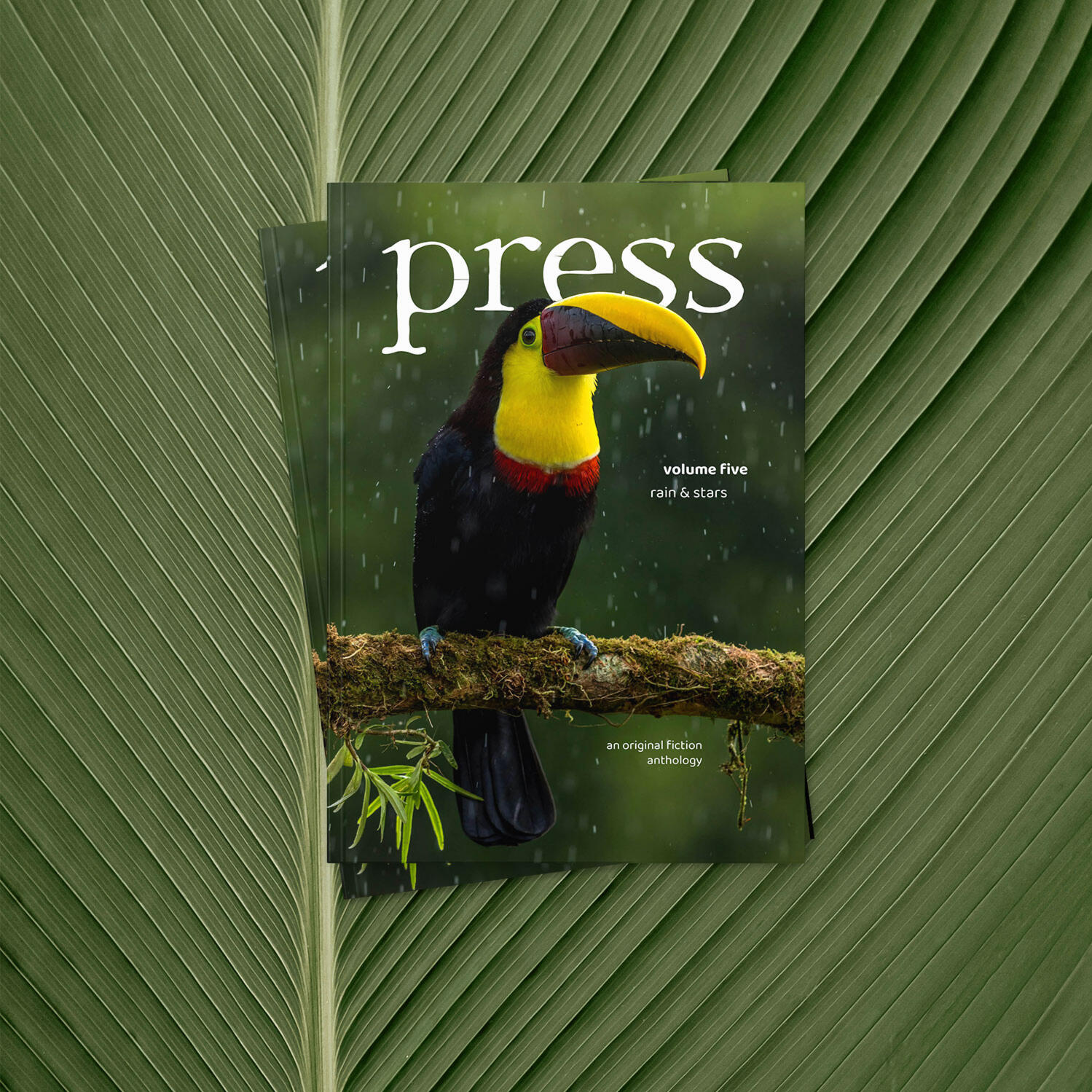 press volume five cover: a toucan in the rain